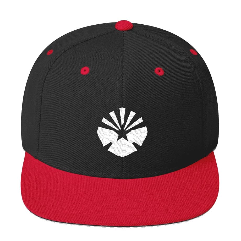 Snapbacks